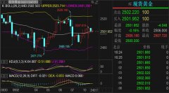 黄金期货交易入门整体来看黄金价格还是先维持